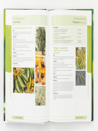 Plants of Capricornia