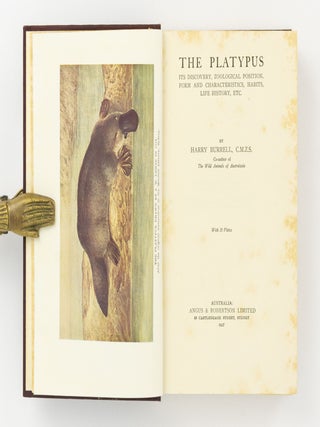 The Platypus. Its Discovery, Zoological Position, Form and Characteristics, Habits, Life History, etc