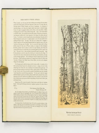 General Information respecting the Present Condition of the Forests and Timber Trade of the Southern Part of the Colony ... Together with a Report on the Forest Resources of the Colony, by Baron Ferd. von Mueller