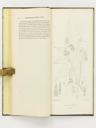 General Information respecting the Present Condition of the Forests and Timber Trade of the Southern Part of the Colony ... Together with a Report on the Forest Resources of the Colony, by Baron Ferd. von Mueller