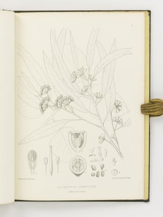 General Information respecting the Present Condition of the Forests and Timber Trade of the Southern Part of the Colony ... Together with a Report on the Forest Resources of the Colony, by Baron Ferd. von Mueller