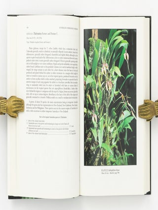 Australian Indigenous Orchids. The Epiphytes. The Tropical Terrestrial Species