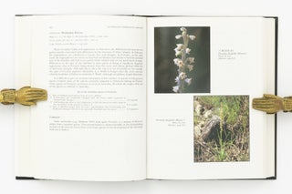 Australian Indigenous Orchids. The Epiphytes. The Tropical Terrestrial Species