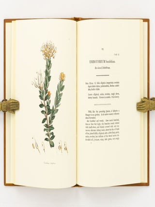 A Specimen of the Botany of New Holland, by James Edward Smith .... The Figures by James Sowerby