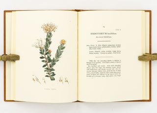 A Specimen of the Botany of New Holland, by James Edward Smith .... The Figures by James Sowerby