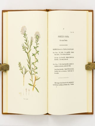 A Specimen of the Botany of New Holland, by James Edward Smith .... The Figures by James Sowerby