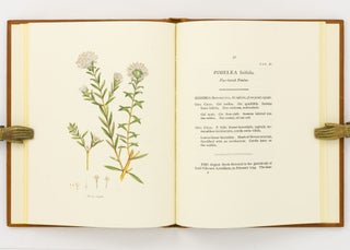 A Specimen of the Botany of New Holland, by James Edward Smith .... The Figures by James Sowerby