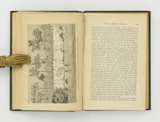 Early Experiences of Life in South Australia, and an Extended Colonial History