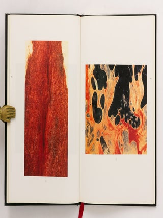 A History of Andres Serrano. A History of Sex