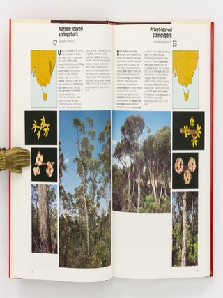 Field Guide to Eucalypts. Volume 1: South-Eastern Australia. Volume 2: South-Western and Southern Australia. Volume 3: Northern Australia