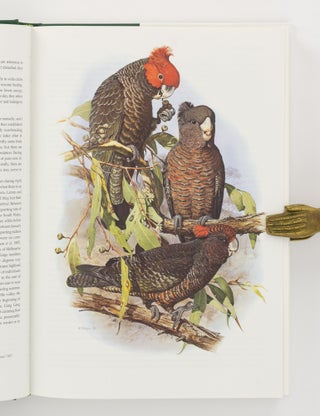 Australian Parrots