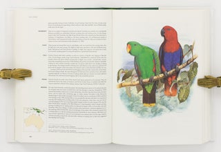 Australian Parrots