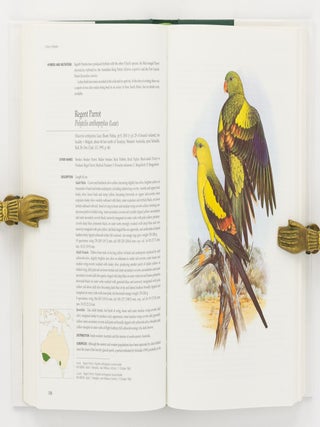 Australian Parrots