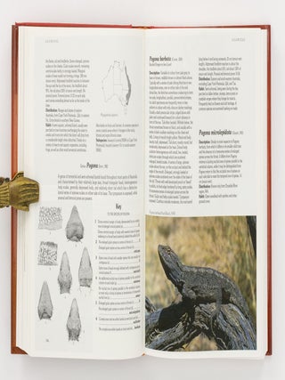 Reptiles and Amphibians of Australia