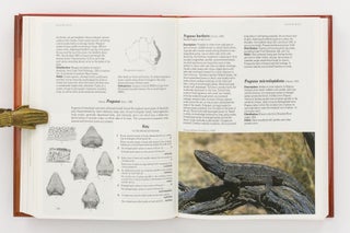 Reptiles and Amphibians of Australia