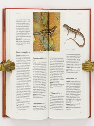 Reptiles and Amphibians of Australia