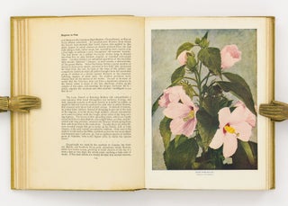 Nature's Garden. An Aid to Knowledge of our Wild Flowers and their Insect Visitors ...