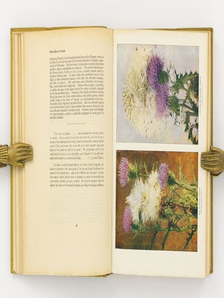 Nature's Garden. An Aid to Knowledge of our Wild Flowers and their Insect Visitors ...