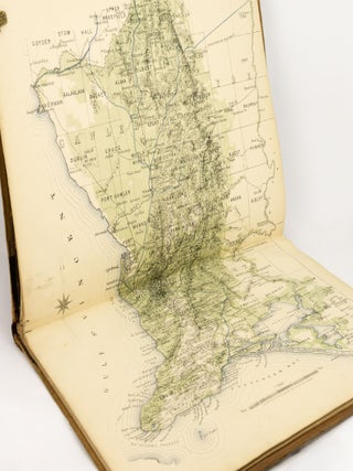 Item #140475 Plan of the Southern Portion of the Province of South Australia as divided into...