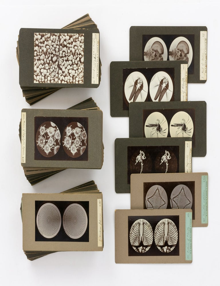 Item #140504 A large collection of early stereo-microphotographs produced by an accomplished South Australian amateur photographer. Stereo-microphotography, William Parmeter DOLLMAN.