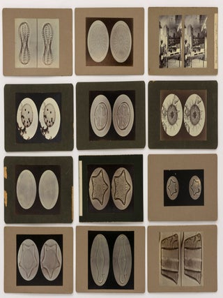 A large collection of early stereo-microphotographs produced by an accomplished South Australian amateur photographer