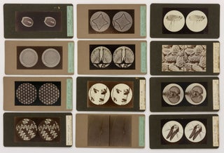 A large collection of early stereo-microphotographs produced by an accomplished South Australian amateur photographer