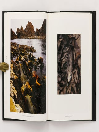 Simply. Photographs by Peter Dombrovskis. Essay by Gael Newton. Preface by Patricia Sabine...
