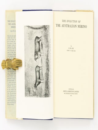 The Evolution of the Australian Merino