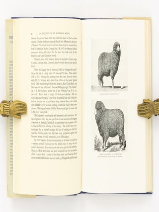 The Evolution of the Australian Merino