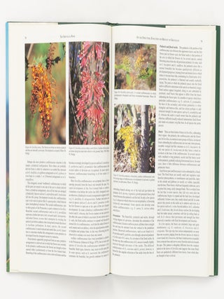 The Grevillea Book [in three volumes]