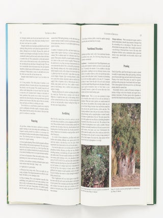 The Grevillea Book [in three volumes]