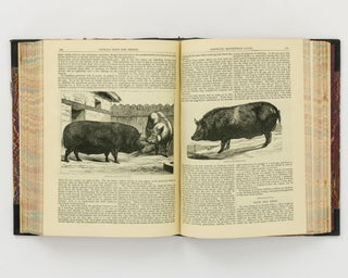 Cassell's Household Guide. Being a Complete Encyclopaedia of Domestic and Social Economy, and forming a Guide to Every Department of Practical Life