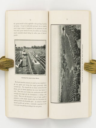 South Australia. Handbook of Information for Settlers, Tourists and others