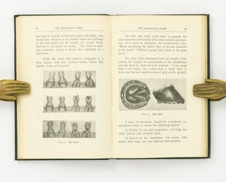 The Mongolian Horse ... Translated from the Russian