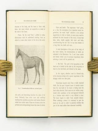 The Mongolian Horse ... Translated from the Russian