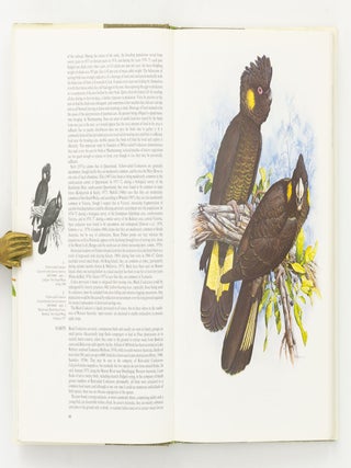 Australian Parrots