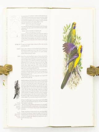 Australian Parrots