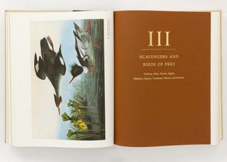 Audubon's Birds of America