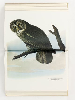 Audubon's Birds of America