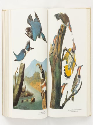 Audubon's Birds of America