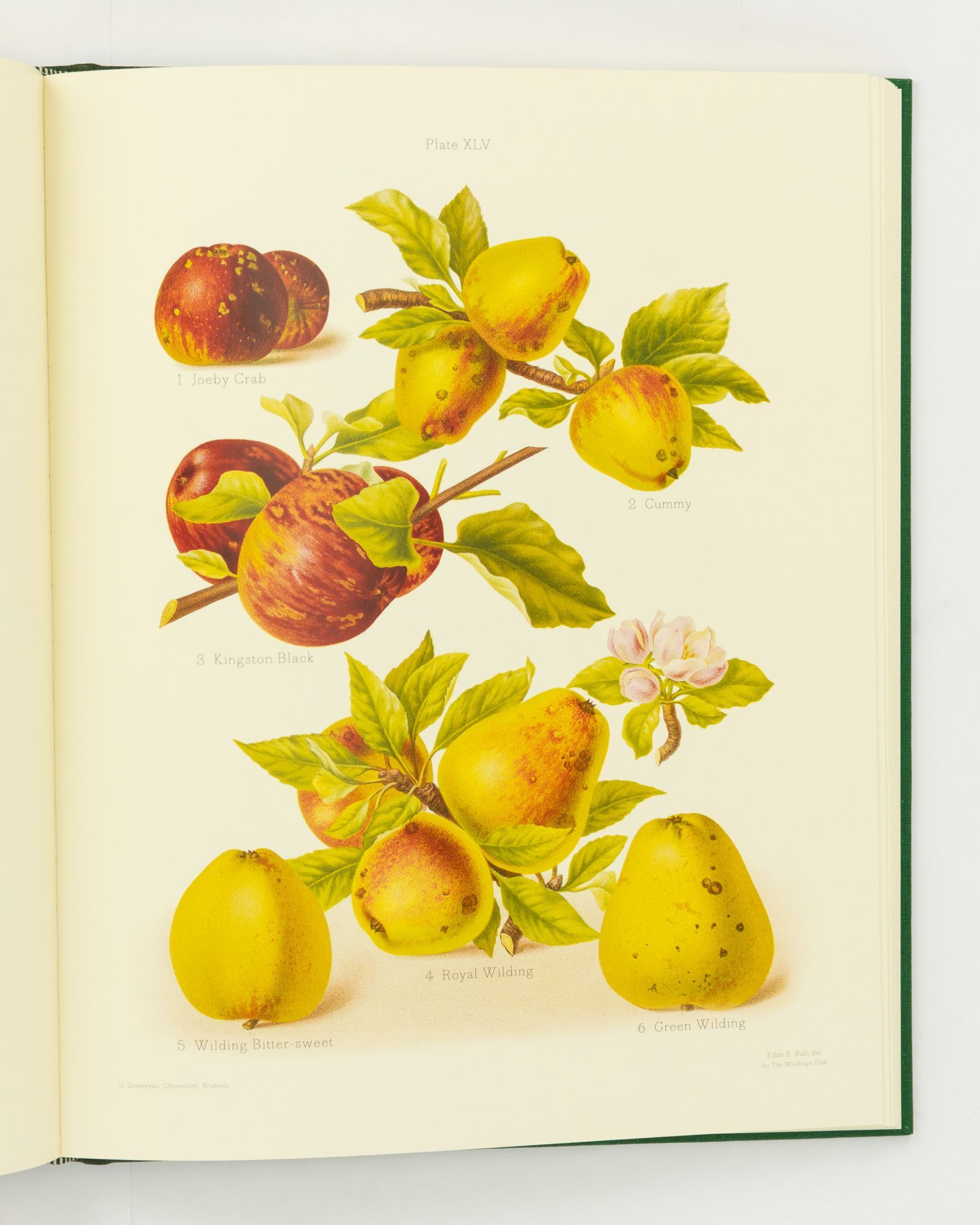 The Herefordshire Pomona. Containing Coloured Figures and Descriptions ...