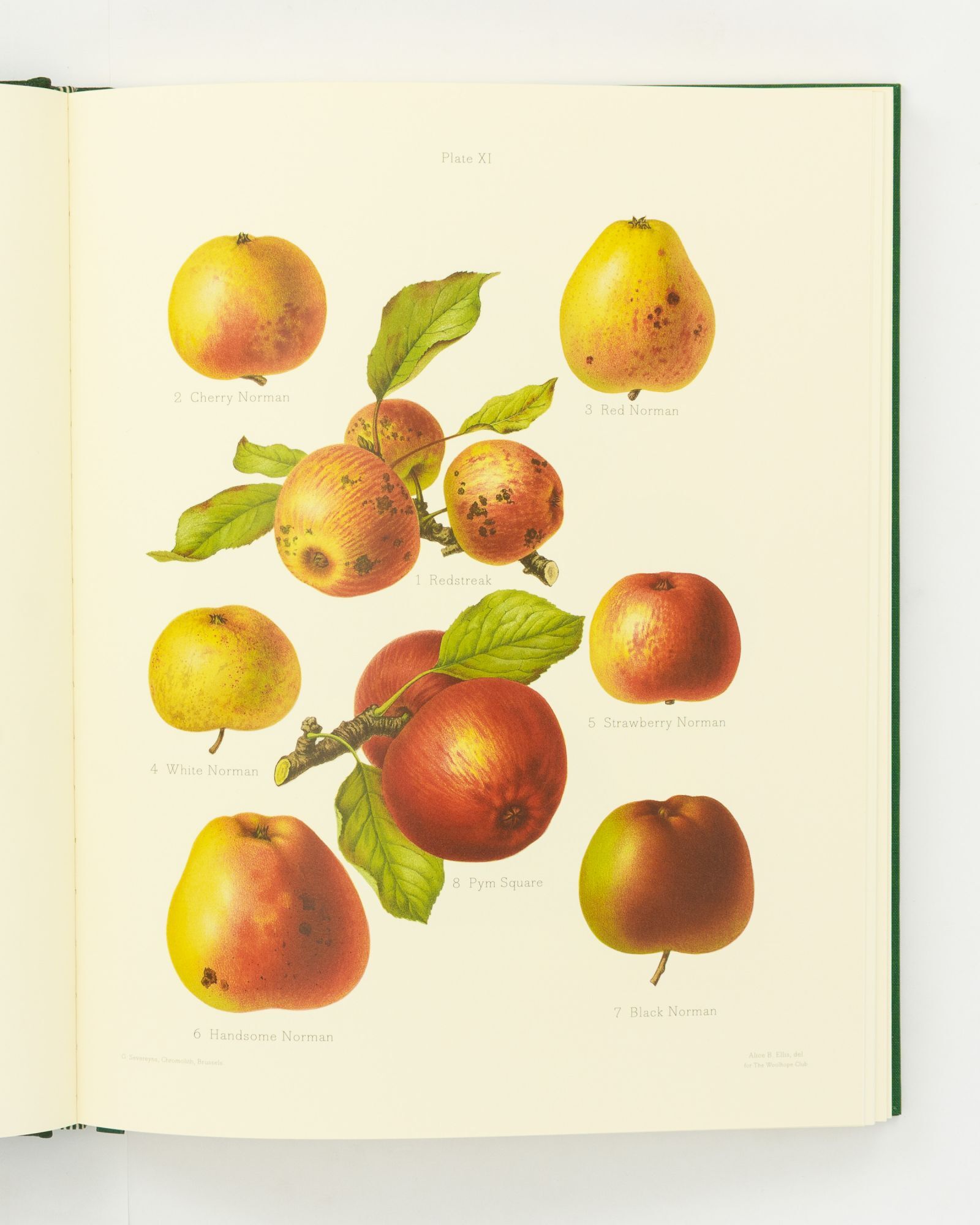 The Herefordshire Pomona. Containing Coloured Figures and Descriptions ...