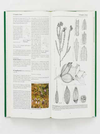Eremophila and Allied Genera. A Monograph of the Plant Family Myoporaceae