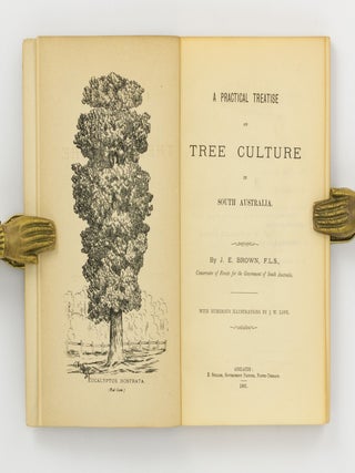 A Practical Treatise on Tree Culture in South Australia