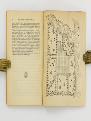 A Practical Treatise on Tree Culture in South Australia