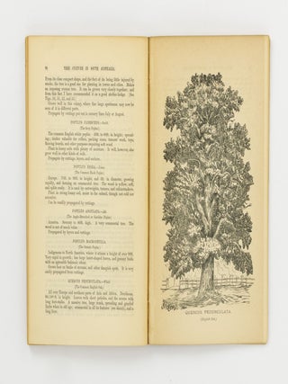 A Practical Treatise on Tree Culture in South Australia
