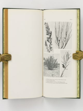Plant Habits and Habitats in the Arid Portions of South Australia