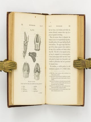 On the Various Contrivances by which British and Foreign Orchids are fertilised by Insects, and on the Good Effects of Intercrossing