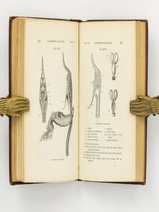 On the Various Contrivances by which British and Foreign Orchids are fertilised by Insects, and on the Good Effects of Intercrossing