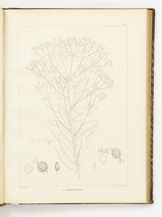 Item #144010 Icones Euphorbiarum, ou Figures de cent vingt-deux espèces du genre Euphorbia,...